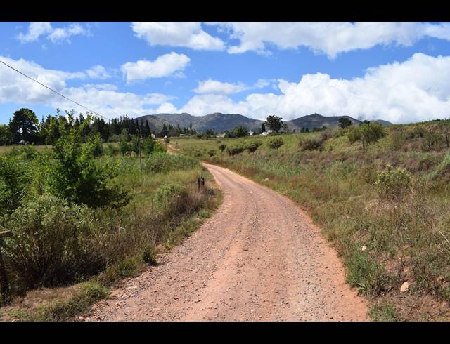 1,060HA FARM FOR SALE IN GEORGE RURAL